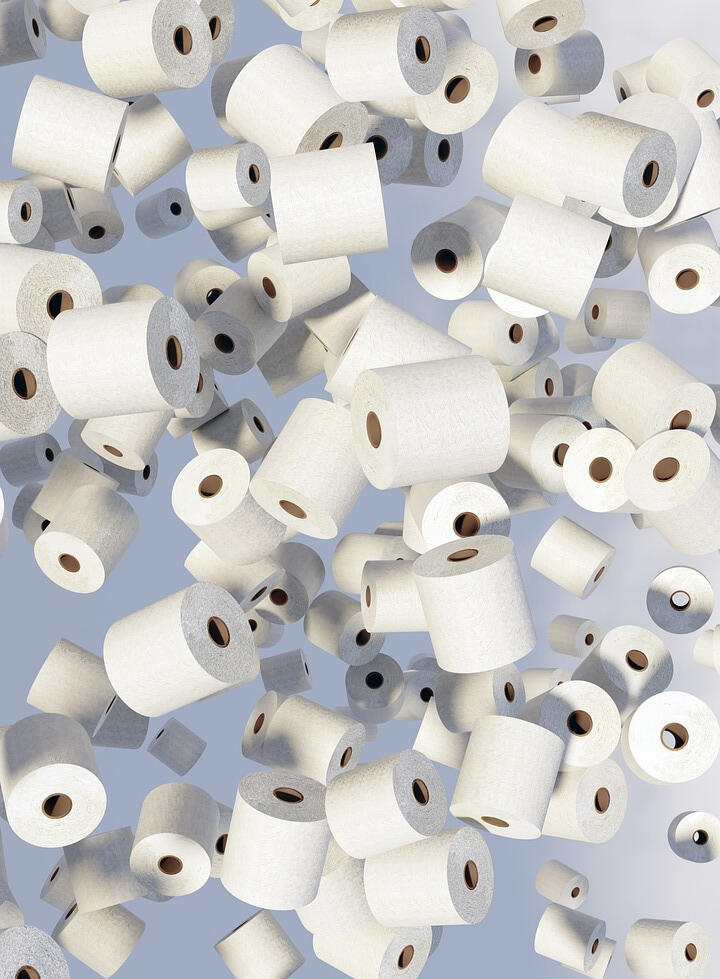The Sustainable Toilet Paper Company Logo The Sustainable Toilet Paper Company LLC Logo