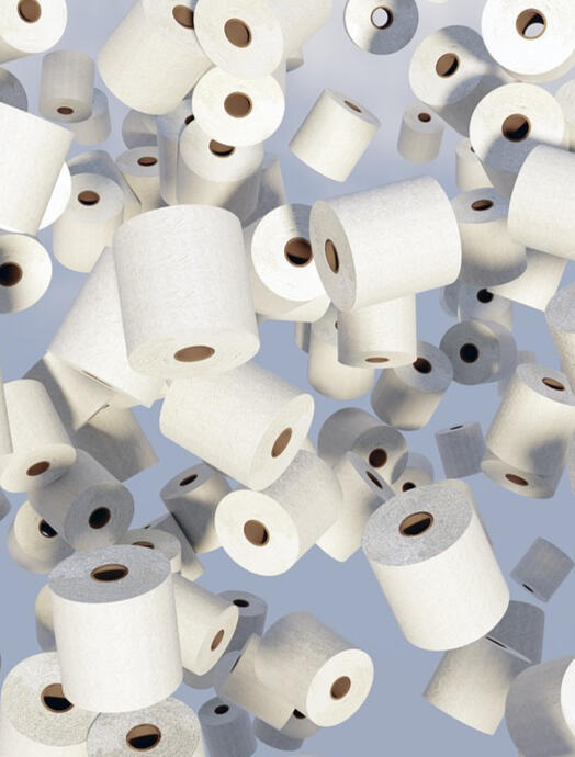 The Sustainable Toilet Paper Company
